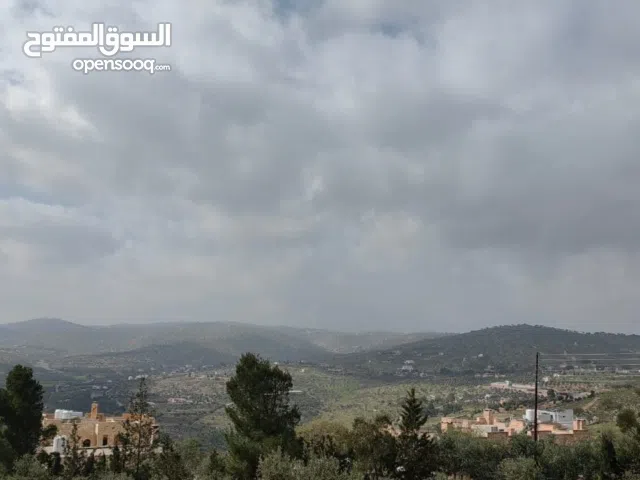 ارض للبيع بيرين صروت ( تل القمر ) اطلالة ومشجرة بالقرب من فلل
