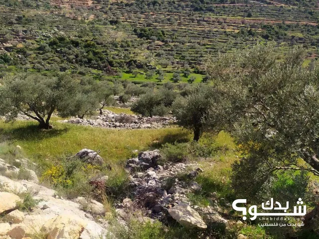 Mixed Use Land for Sale in Ramallah and Al-Bireh Arura