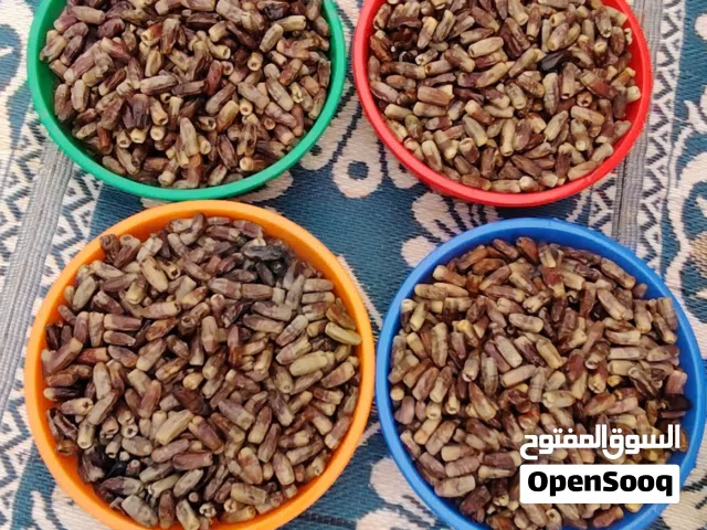 ماشاء الله للبيع تمر نغال إنتاج هذه سنة