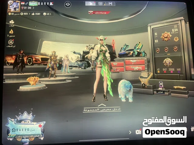 Pubg Accounts and Characters for Sale in Ramtha