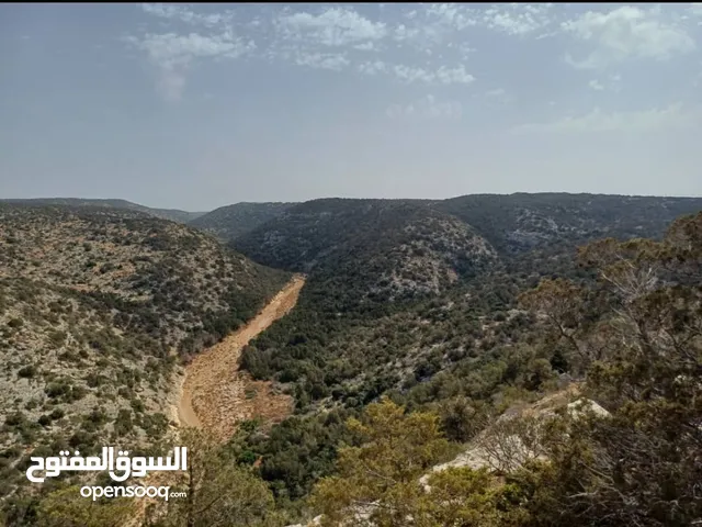Mixed Use Land for Sale in Jebel Akhdar Bayda