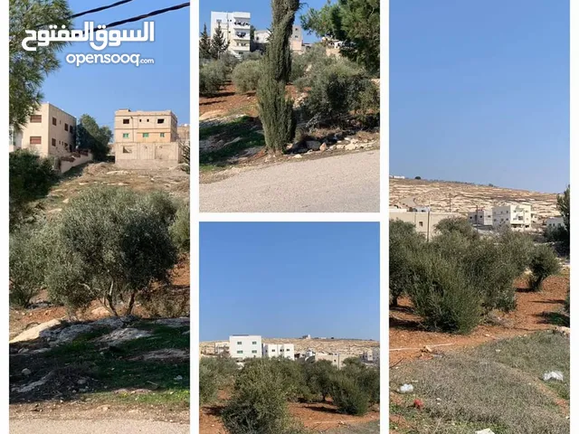 Residential Land for Sale in Irbid Kufr Jayez