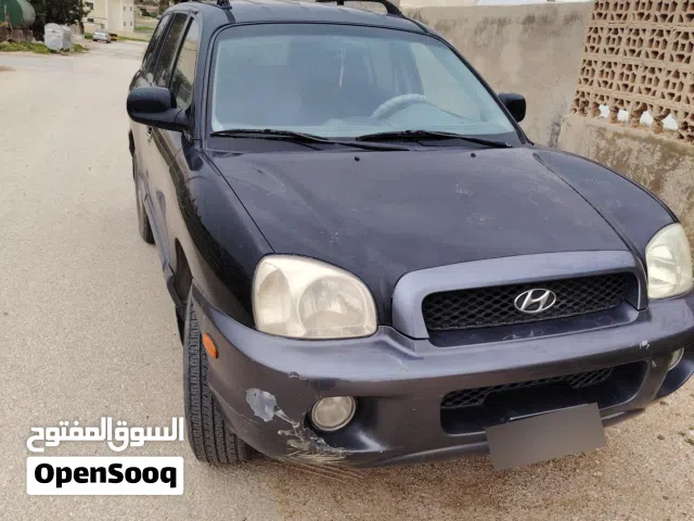 2002 Hyundai Santa Fe