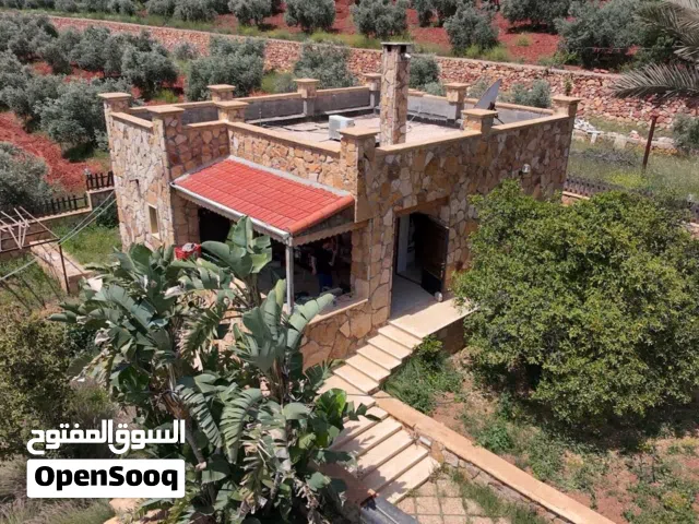 Farm Land for Sale in Salt Al Subeihi