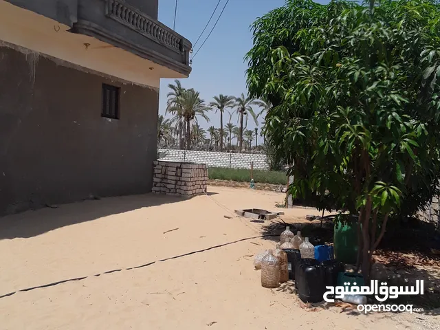 Residential Land for Sale in North Sinai Bir al-Abed