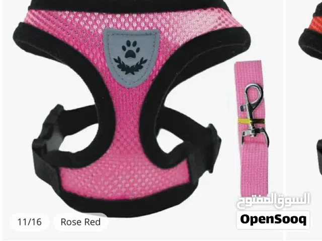 اكسسوارات حيوانات للبيع لايوجد توصيل