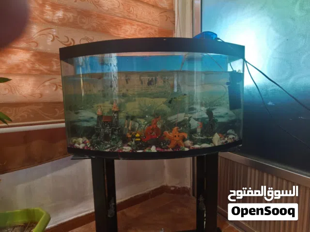 حوض سمك كبير ما طاولته