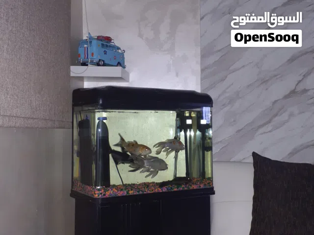 حوض سمك كامل