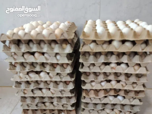 eggs for sale