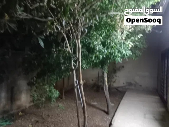 الجاردنز - شقه فارغه للايجار -
