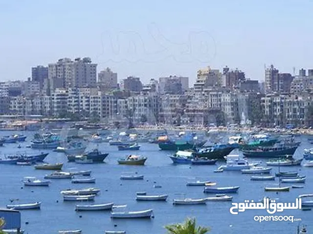 60 m2 2 Bedrooms Apartments for Sale in Alexandria Bahray - Anfoshy