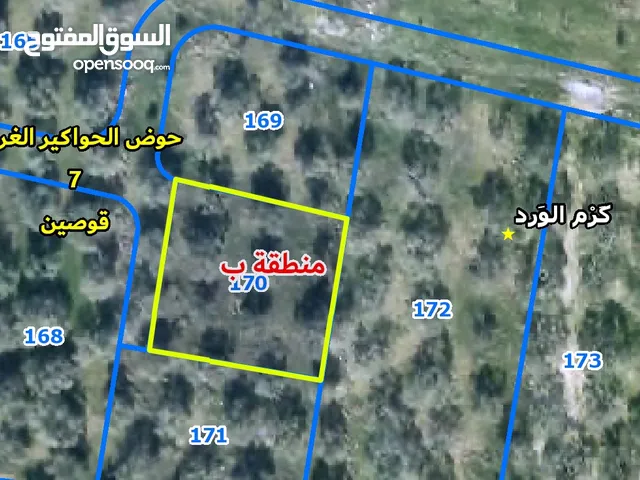 Mixed Use Land for Sale in Nablus Qusin