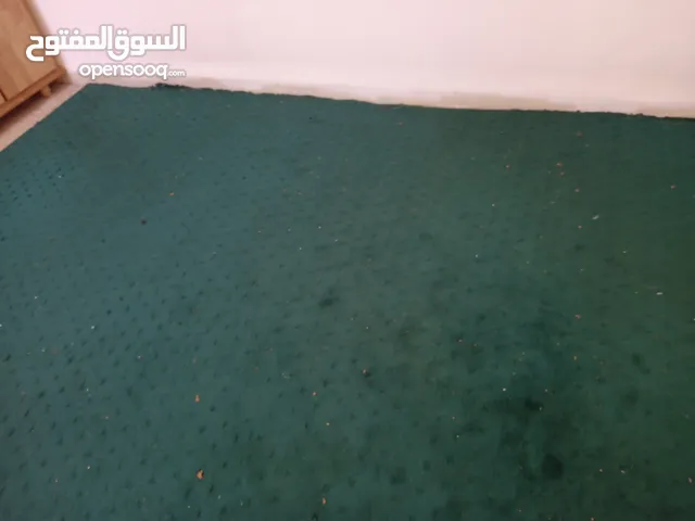 موكيته لون اخضر طول اربعه متر وعرض ثلاثه متر وسجاده سعر السجدتين عشره