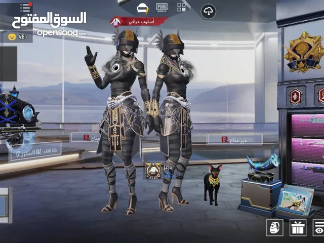Pubg Accounts and Characters for Sale in Amman