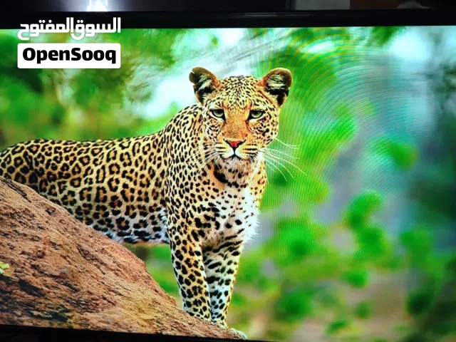 شاشه ناشونال 43 سمارت