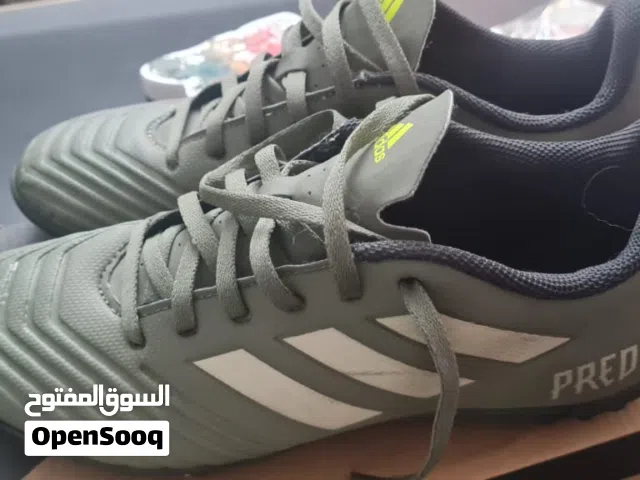 39 Sport Shoes in Alexandria