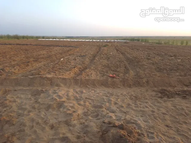 أراضي زراعيه للبيع