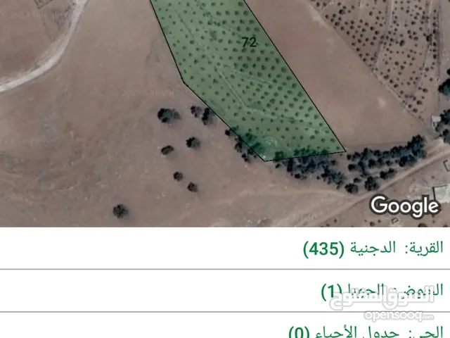 Farm Land for Sale in Mafraq Al-Dajaniya