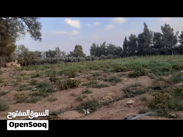 Commercial Land for Sale in Zarqa Azraq