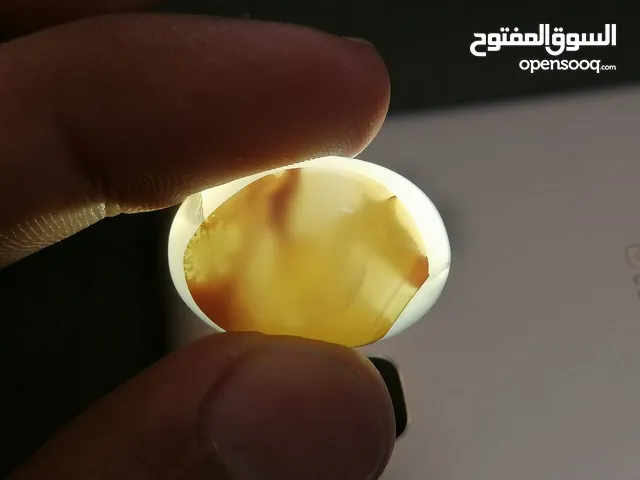 حجر مصور نادر واضح