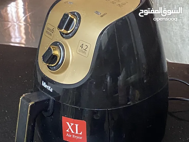 اير فراير مينتا