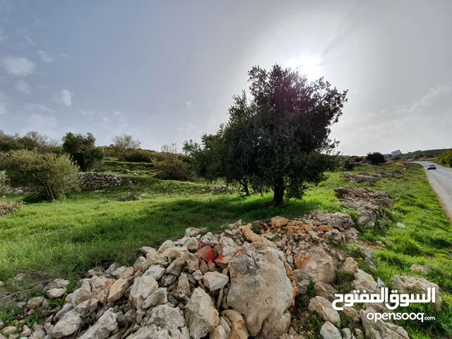 Mixed Use Land for Sale in Ajloun Sakhra