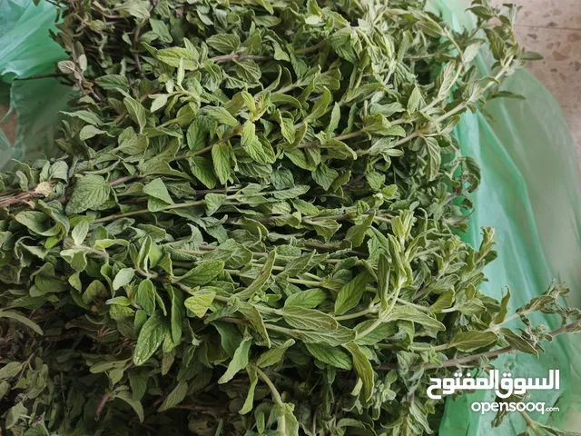 محمود