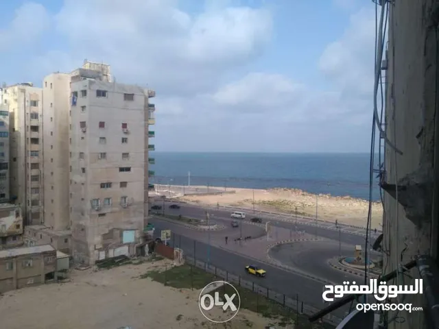 125 m2 2 Bedrooms Apartments for Rent in Alexandria Miami