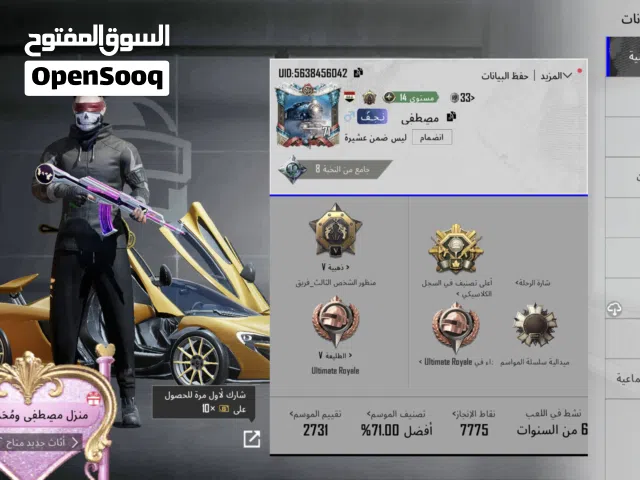 Pubg Accounts and Characters for Sale in Najaf