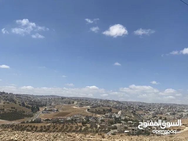 أراضي للبيع في اجمل مناطق شفابدران زينات الربوع من المالك مباشره باسعار مميزه
