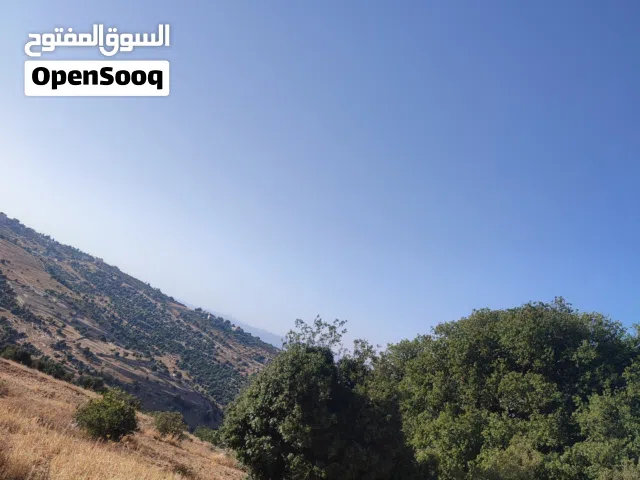 ارض للبيع في السلط اول الزعتري موجود اكثر من قطعه مختلفة غير المعروض
