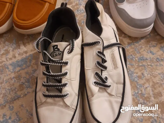 All options Others in Benghazi