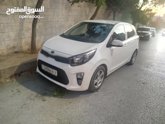 كاش اونص بنص بيكانتو مطور1250