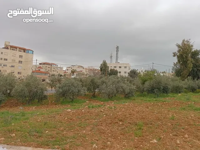Residential Land for Sale in Amman Shafa Badran