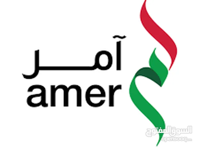 تخليص المعاملات وتاسيس الشركات وشؤون الاقامه والعمل.