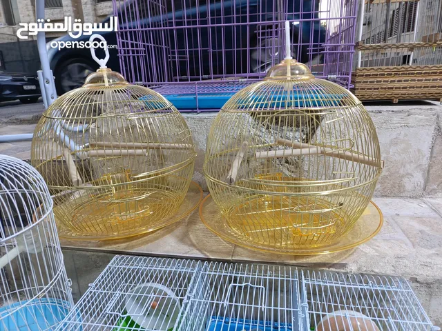 قفص دهبي موديل إيطالي صينية