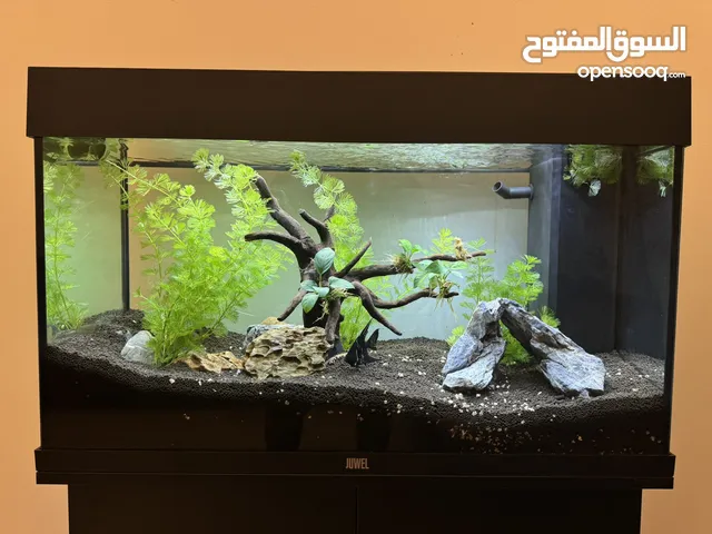 JUWEL AQUARIUM WITH STAND