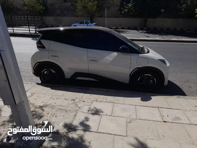 Used BYD Seagull in Amman
