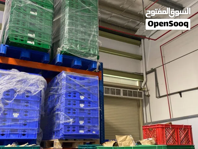 800 صندوق بلاستيك 50 لتر للخبز او للخضروات مستعمل استعمال يوم واحد فقط مغلف جاهز مع التوصيل لاي مكان