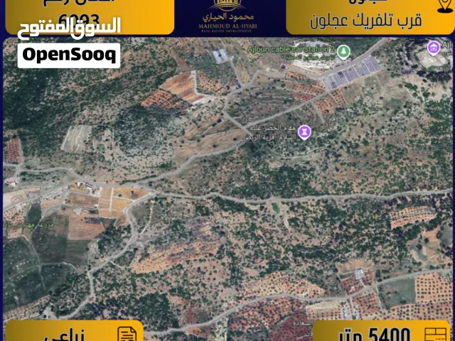 Farm Land for Sale in Ajloun Alqala'a