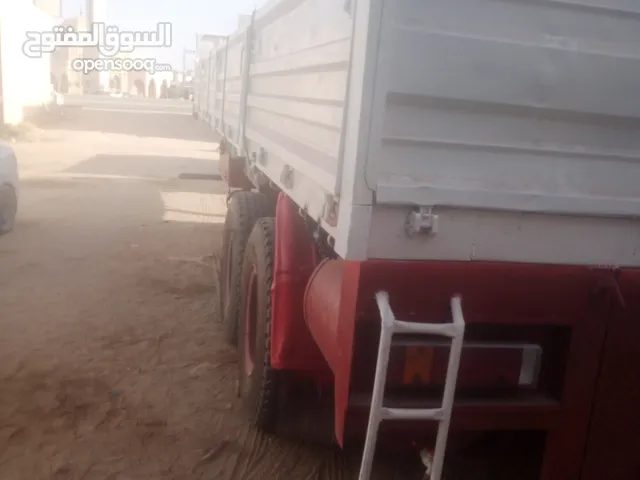 بياتينا كريلو صاصي 50 طولها 11 قصر خيار