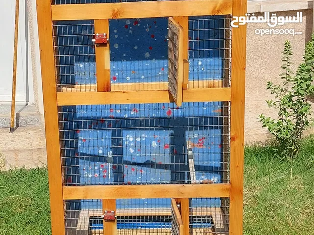 قفص ببغاء او طيور حب للبيع