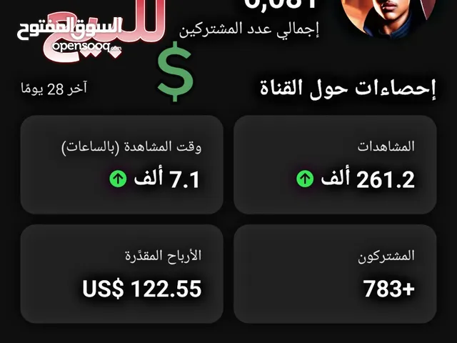 Social Media Accounts and Characters for Sale in Amman