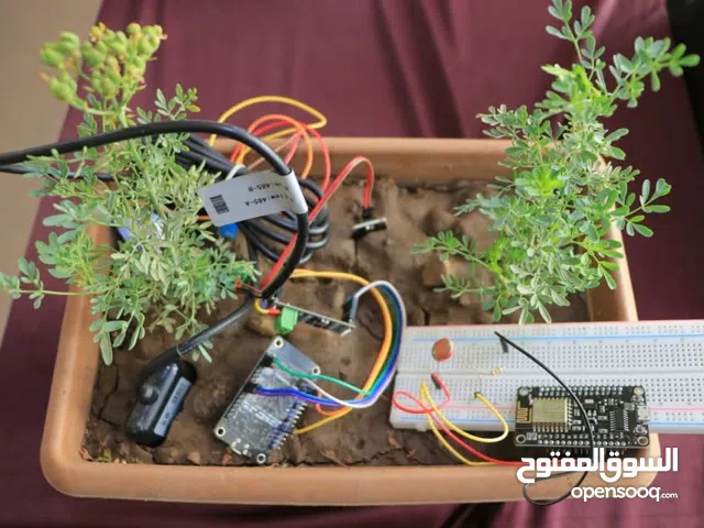 نظام تكزر التكنلوجي الزراعي