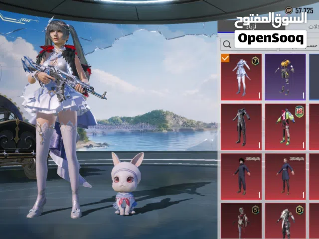 Pubg Accounts and Characters for Sale in Al Rayyan