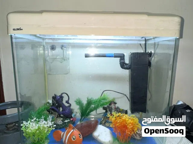 أحواض سمك للبيع