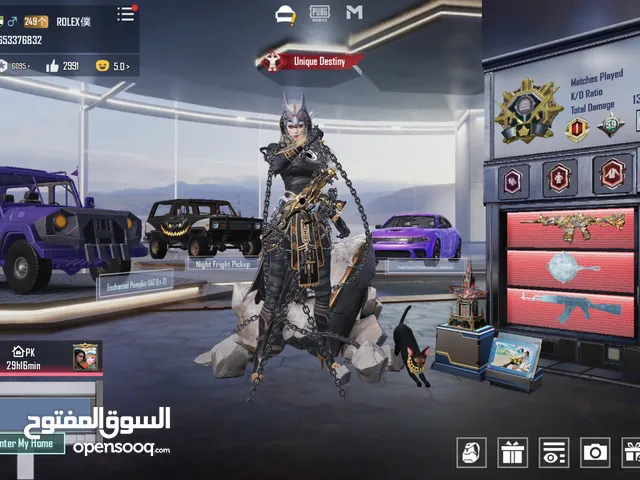Pubg Accounts and Characters for Sale in Sharjah