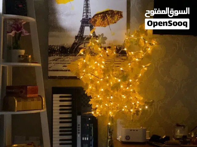 1200 m2 Studio Apartments for Rent in Ajman Al Alia