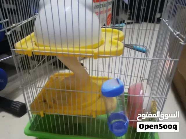 قفص هامستر للبيع