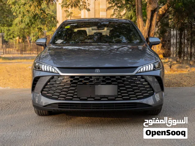 New BYD Qin in Karbala